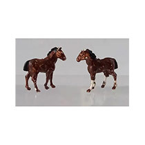 D81 - 2 Beschilderde paarden