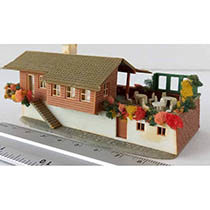 D56 - Berghuiscafé met terras