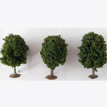 D32 - 3 Loofbomen